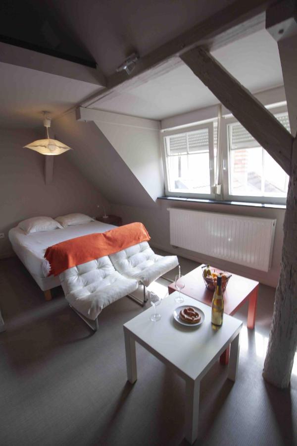 Appartement La Cour de Berthe Est à Colmar Extérieur photo